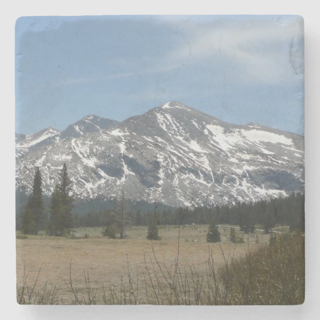 Sierra Nevada Mountain I från Yosemite Underlägg Sten (Framsidan)