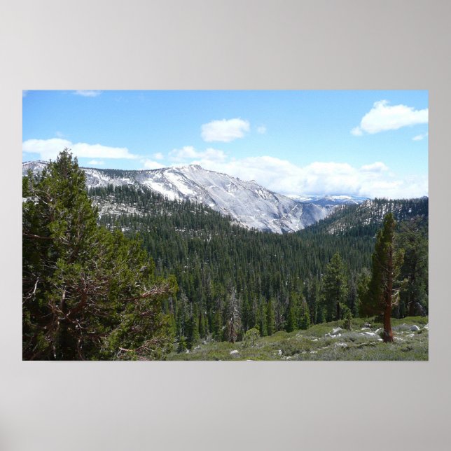 Sierra Nevada Mountain II från Yosemite Poster (Framsidan)