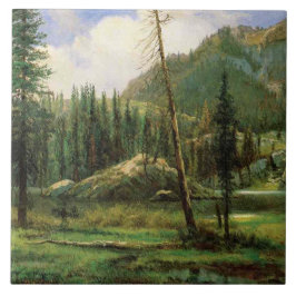 Sierra Nevadabergen (American Woodland) Kakelplatta