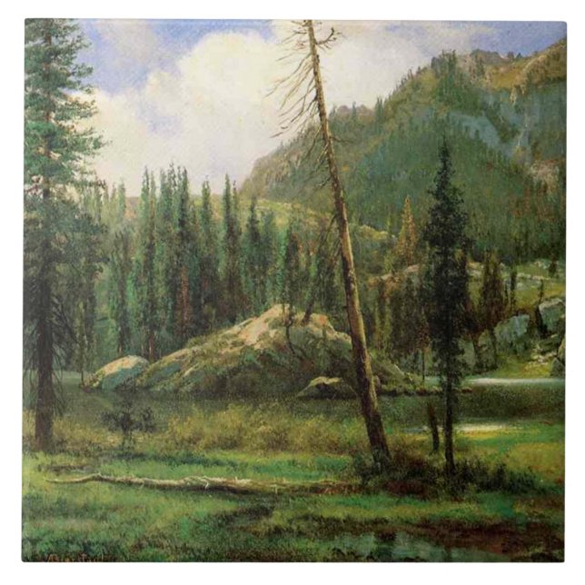 Sierra Nevadabergen (American Woodland) Kakelplatta (Framsidan)