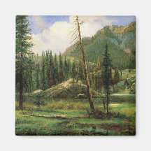 Sierra Nevadabergen (American Woodland)