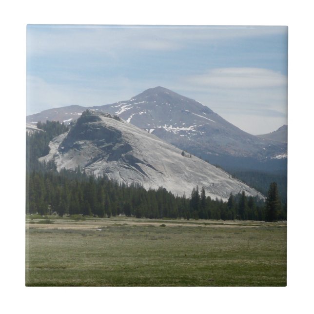 Sierra Nevadabergen III Yosemite nationalpark Kakelplatta (Framsidan)