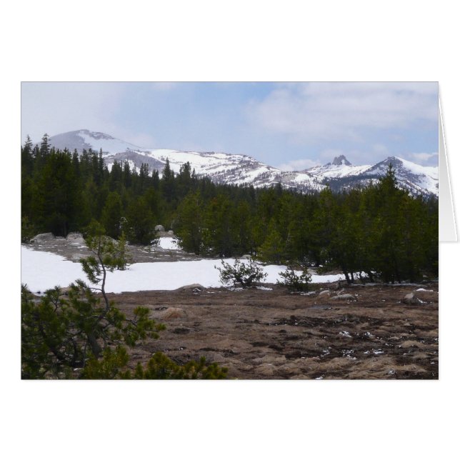 Sierra Nevadabergen och Snö vid Yosemite Hälsningskort (Framsidan Horizontal)