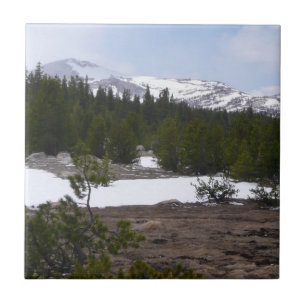 Sierra Nevadabergen och Snö vid Yosemite Kakelplatta