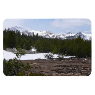 Sierra Nevadabergen och Snö vid Yosemite Magnet