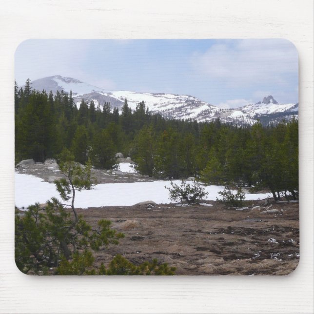 Sierra Nevadabergen och Snö vid Yosemite Musmatta (Framsidan)