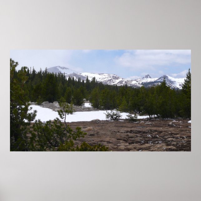 Sierra Nevadabergen och Snö vid Yosemite Poster (Framsidan)