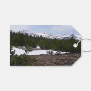 Sierra Nevadabergen och Snö vid Yosemite Presentetikett