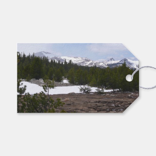 Sierra Nevadabergen och Snö vid Yosemite Presentetikett (Framsidan (Horisontell))