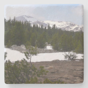Sierra Nevadabergen och Snö vid Yosemite Underlägg Sten