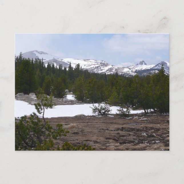 Sierra Nevadabergen och Snö vid Yosemite Vykort (Framsida)