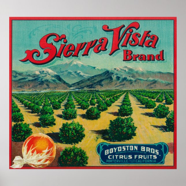 Sierra Vista varumärke Citrus Låda Poster (Framsidan)