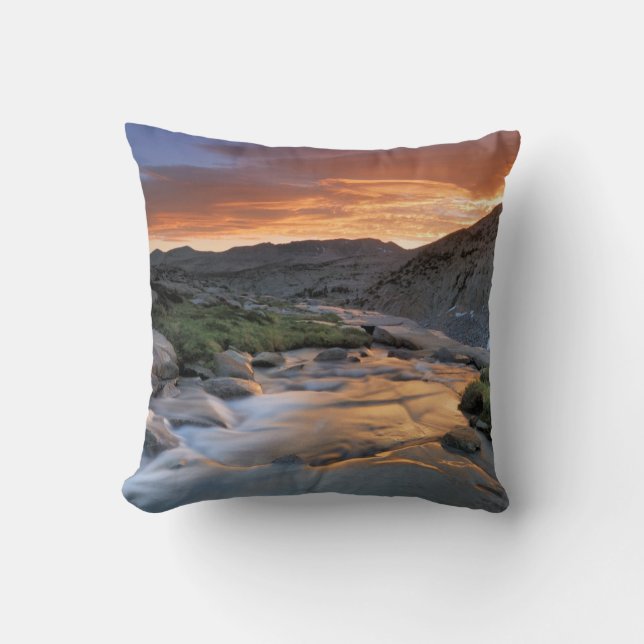 Sierran vinkar över Yosemite Kudde (Framsida)