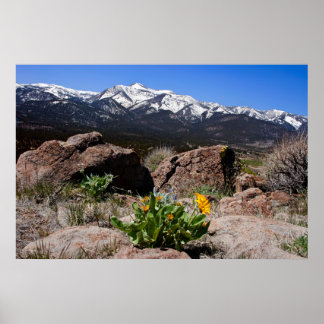 Sierrans bergsvy poster