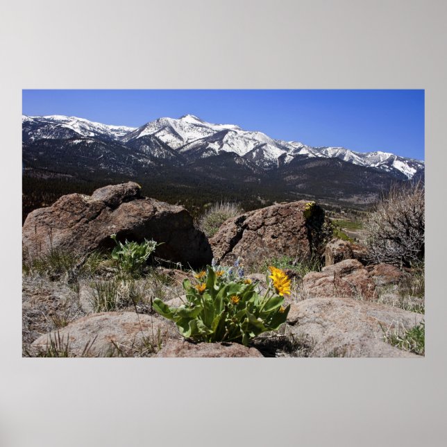 Sierrans bergsvy poster (Framsidan)
