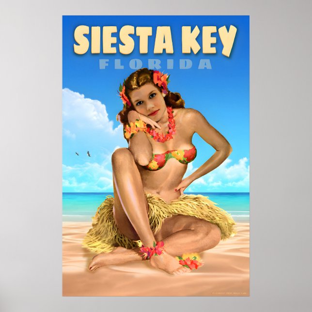 Siesta Key Florida Resa Poster Sjöörn (Framsidan)