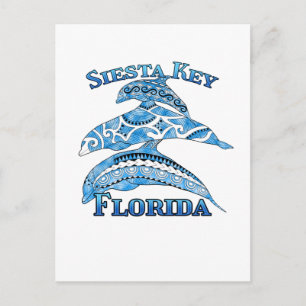 Siesta Key Florida Semester Stammar Dolfiner Vykort
