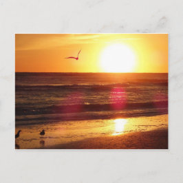 Siesta Nyckel Beach Sunset Vykort