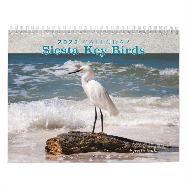 Siesta Nyckel Birds - 2022 Calendar Kalender (Omslag)