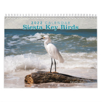 Siesta Nyckel Birds - 2022 Calendar Kalender