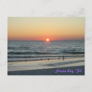 Siesta Nyckel Florida Sunset Postcard Vykort