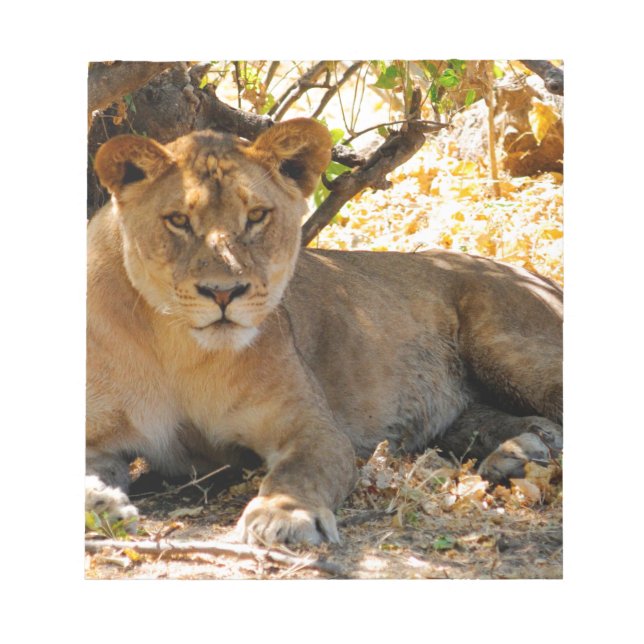 Siesta Time Anteckningsblock (Framsida)