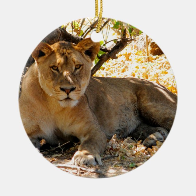 Siesta Time Julgransprydnad Keramik (Framsidan)