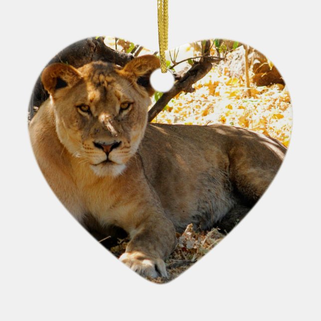 Siesta Time Julgransprydnad Keramik (Framsidan)