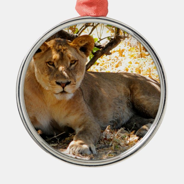 Siesta Time Julgransprydnad Metall (Framsidan)