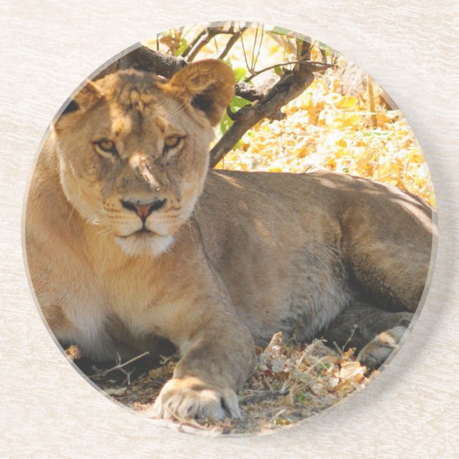 Siesta Time Underlägg Sandsten (Framsidan)