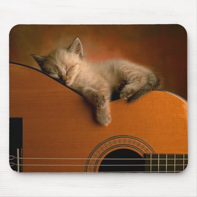 Sieste du chaton sur guitare musmatta (Framsidan)