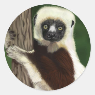 Sifaka-klistermärken Runt Klistermärke