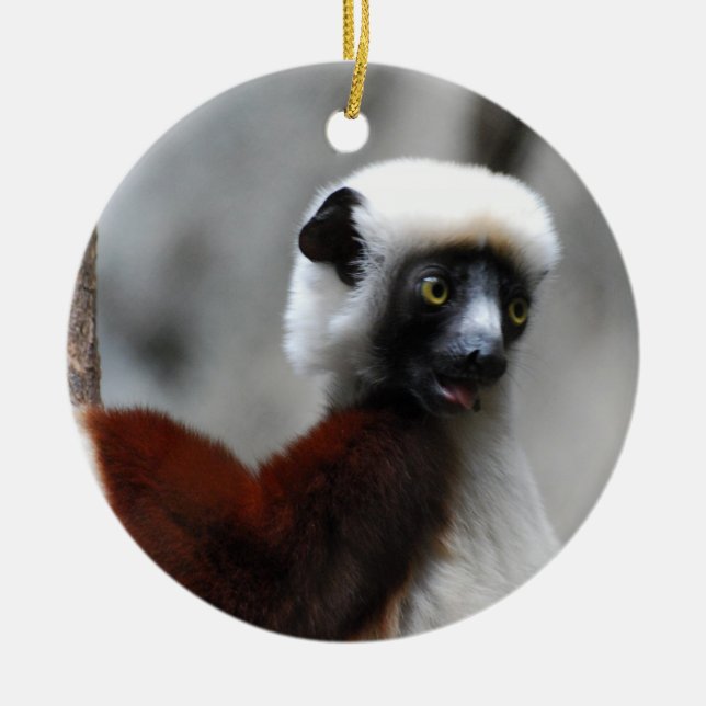 Sifaka Lemurprydnad Julgransprydnad Keramik (Framsidan)