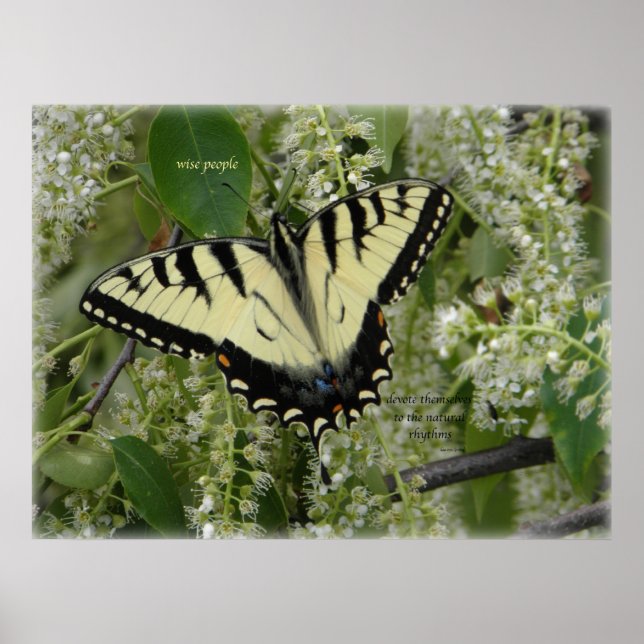 SIGH_ets_loa_P5140161g Poster (Framsidan)