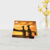 Sighthound Sunrise