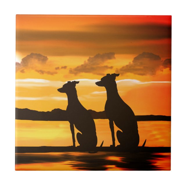 Sighthounds Greyhound Sunrise Kakelplatta (Framsidan)