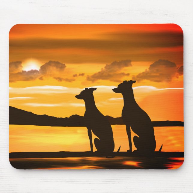 Sighthounds - Greyhound Sunrise Musmatta (Framsidan)