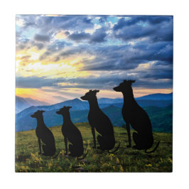 Sighthounds - Greyhound Sunset Kakelplatta