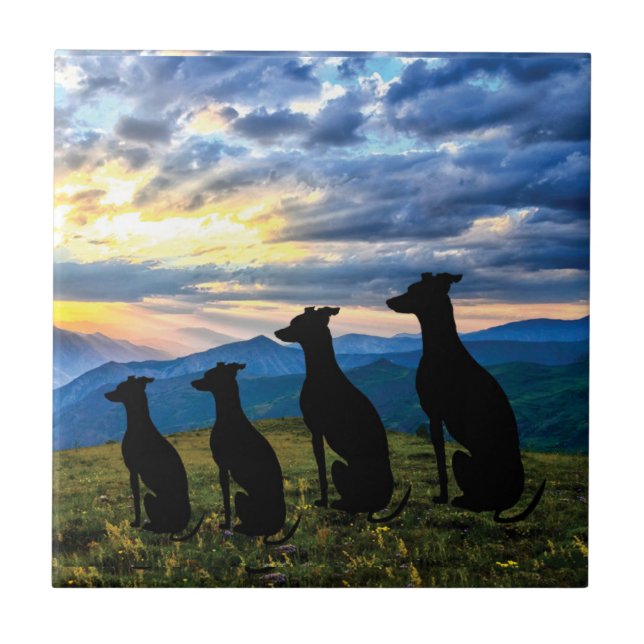 Sighthounds - Greyhound Sunset Kakelplatta (Framsidan)
