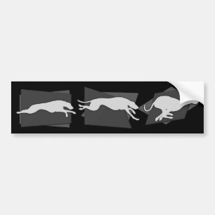 Sighthounds i rörelse bildekal