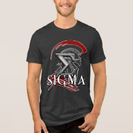 SIGMA 3b Herr Basic T-Shirt