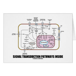Signalera Transductionbanainsida (cellbiologi) Hälsningskort