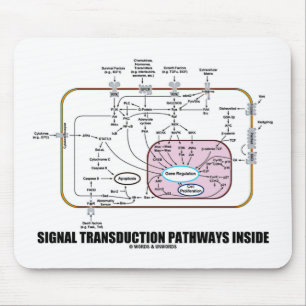 Signalera Transductionbanainsida (cellbiologi) Musmatta