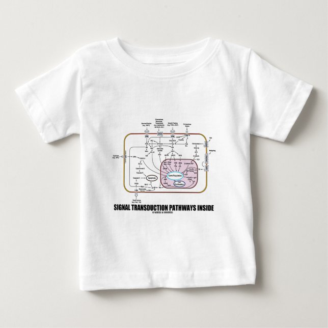 Signalera Transductionbanainsida (cellbiologi) Tee Shirt (Framsida)