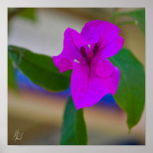 Signerad Rosa blomma - #2