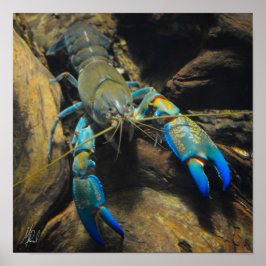 Signerat utjämnat Yabby-Poster Poster