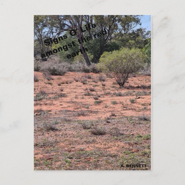 Signs O'Life Vykort (Framsida)