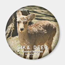 Sika Deer magnet