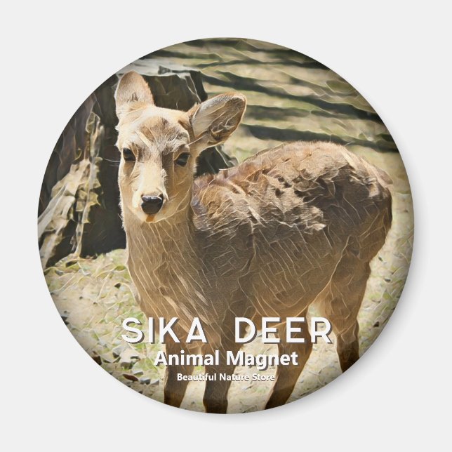 Sika Deer magnet (Framsidan)