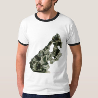 Sikhote-Alin meteorite T Shirt